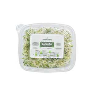 Germinado de Alfalfa
