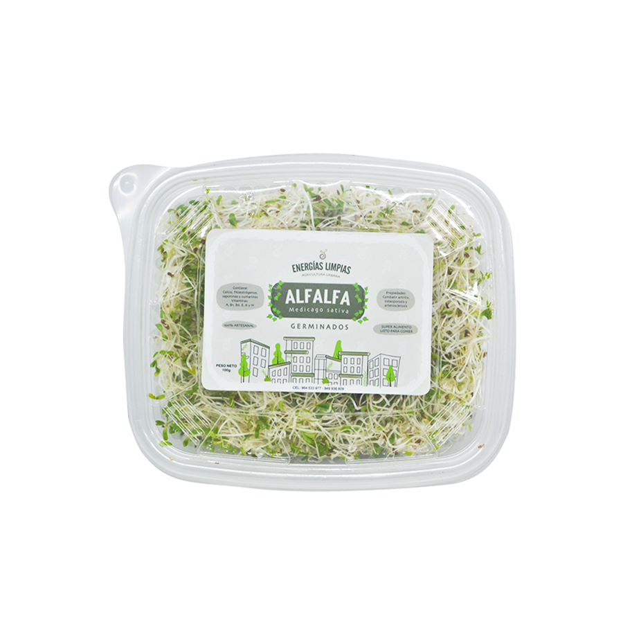 Germinados de Alfalfa fresca - Energías Limpias