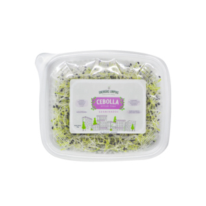 Germinado de Cebolla