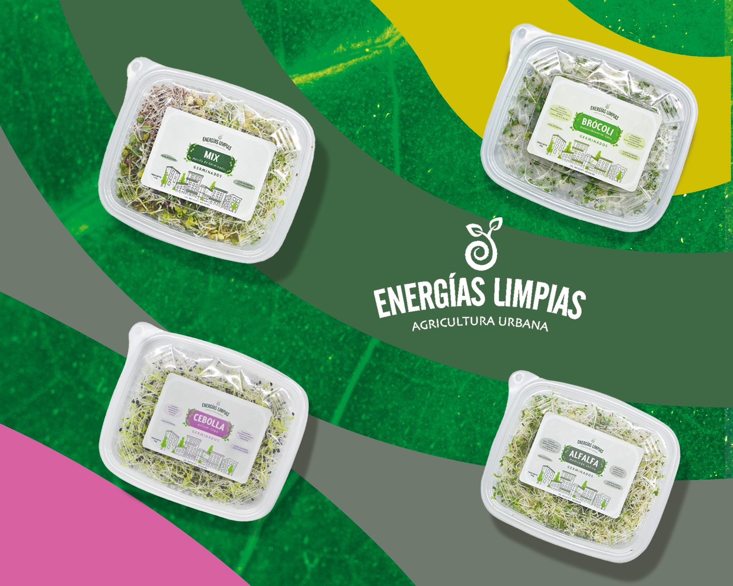 Variedad de Germinados