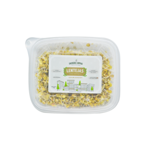 Germinado de Lenteja