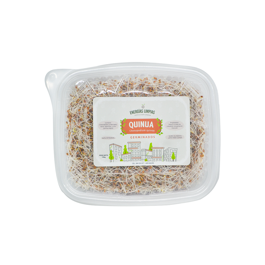 Germinados de Quinua real - Energías Limpias