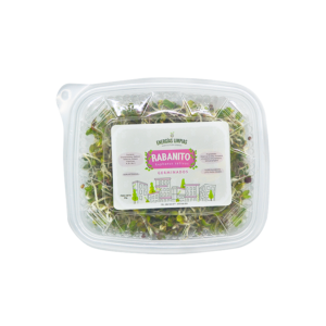 Germinado de Rabanito