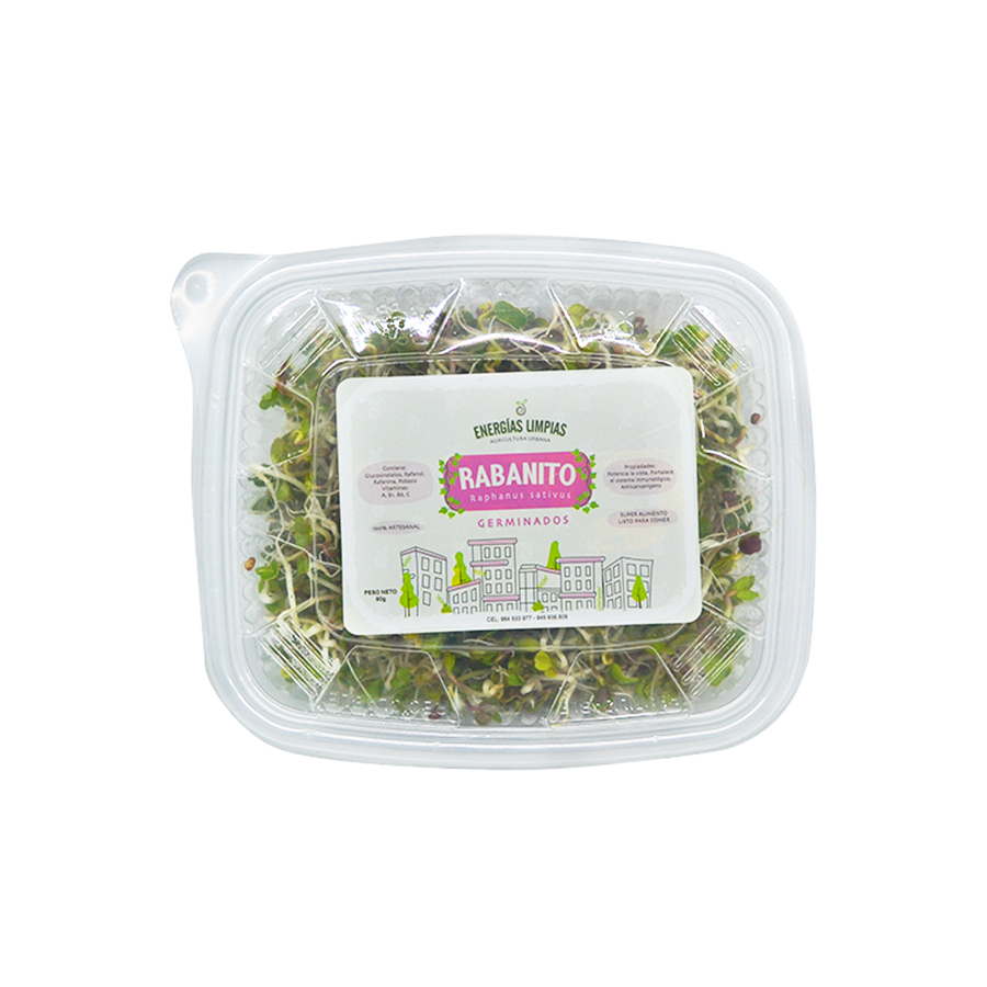 Germinados de Rabanito picante - Energías Limpias
