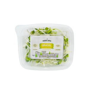 Germinado de Girasol